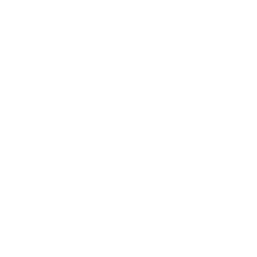 Flomotion Media
